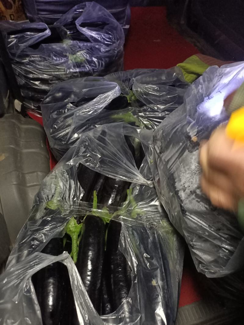 鲜蘑菇