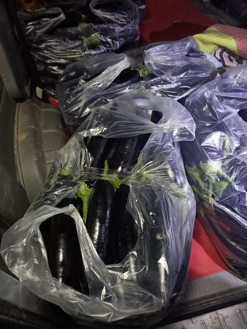 鲜蘑菇