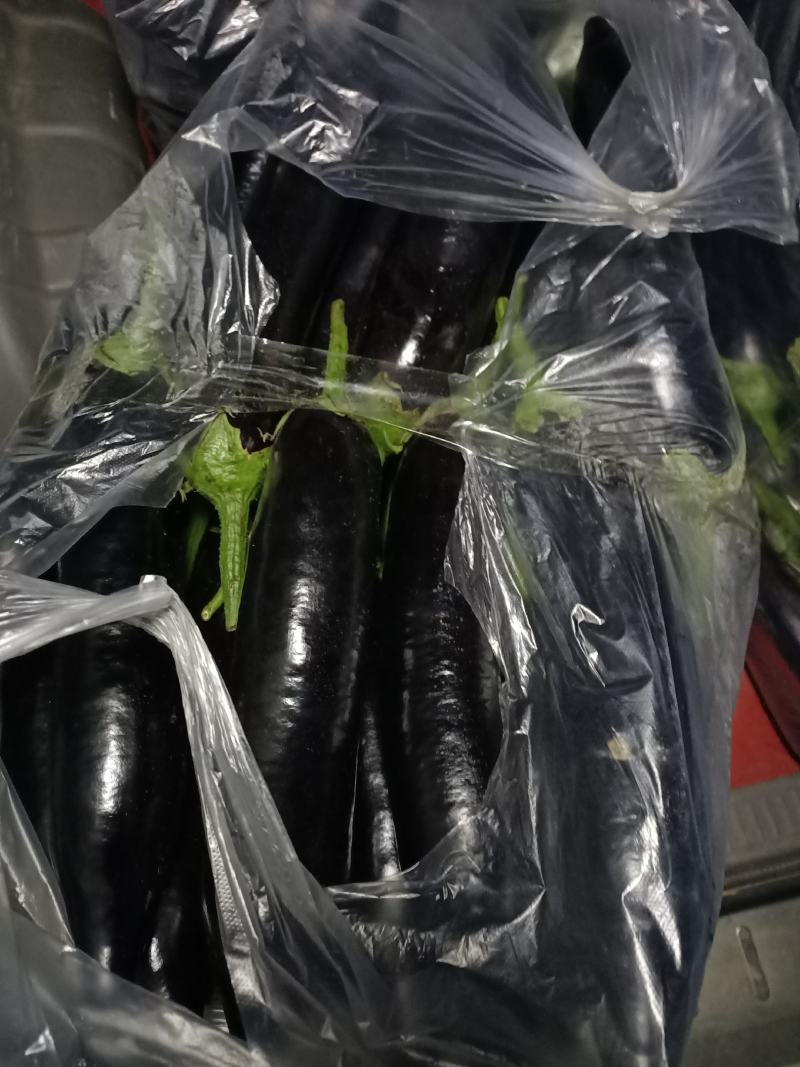 鲜蘑菇