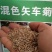 新矢车菊花卉种子蓝色矢车菊花籽春秋播种花海庭院道路盆栽易