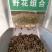 耐寒花种多年生野花组合种子四季开花不断花籽庭院易种活室外