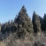 出售山西4米雪松，4.5米雪松5米价格优惠。