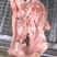 猪头肉9成熟干货国产猪，出肉率高，质量始终如一！！