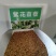 紫花苜蓿种子，多年生牧草种子四季养殖喂羊牛鸡鸭鹅草鱼牧草