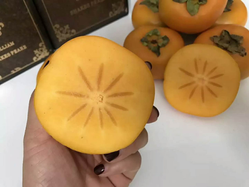 柿子苗嫁接柿子苗阳丰甜柿子苗南北方种植果树苗当年结果