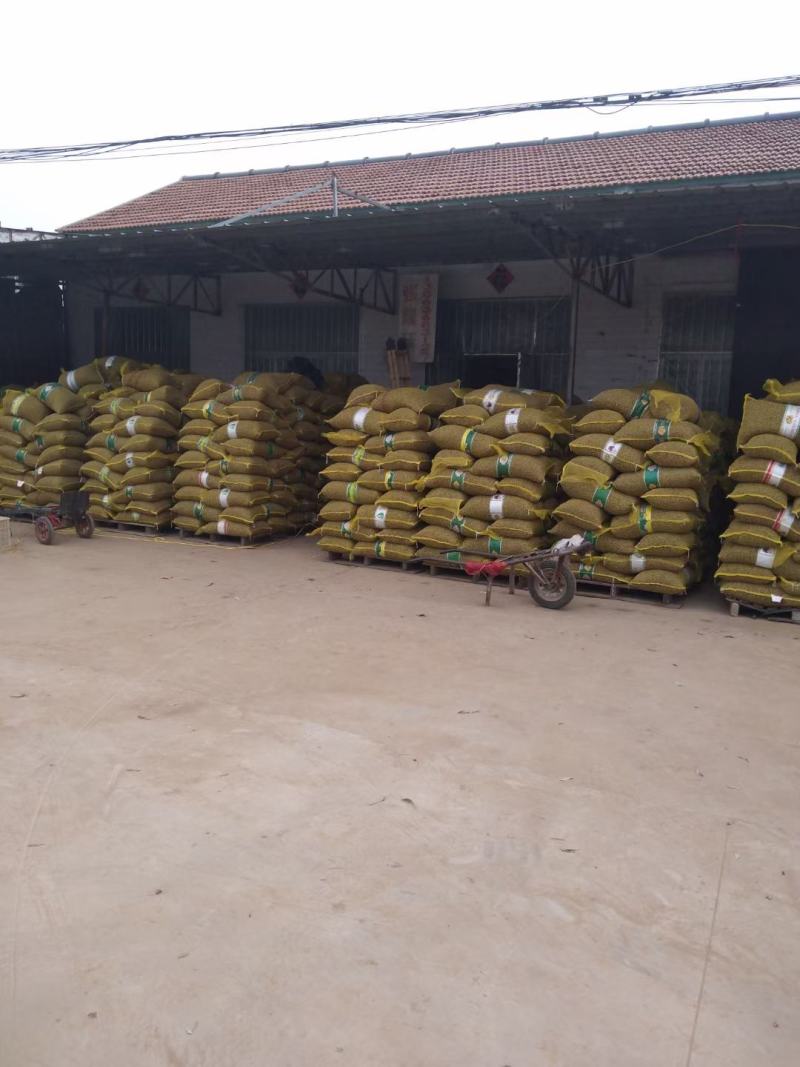 批发零售各种规格齐全山药豆做食品粘糖球基地直供电商运营