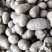 批发零售各种规格齐全山药豆做食品粘糖球基地直供电商运营