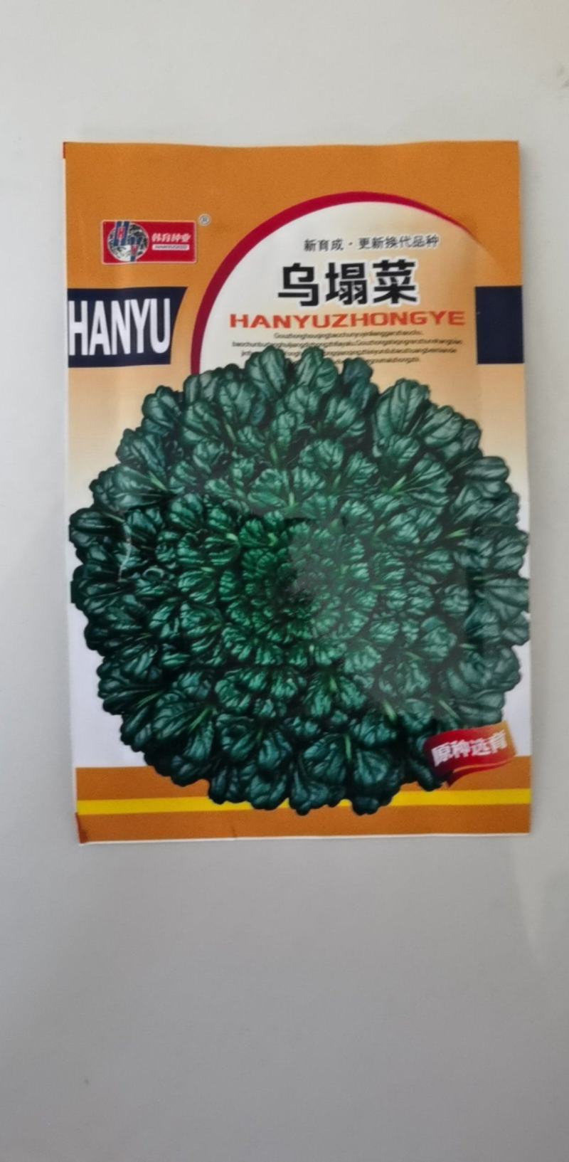 乌塌菜种子塌菜种籽早熟品种耐寒四季种植青菜