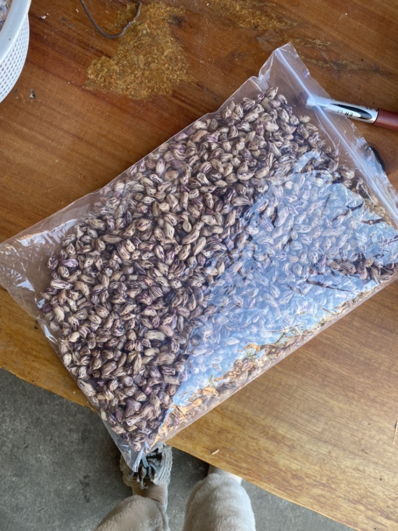 云南七彩黑皮花生七彩花生米黑皮花生米长期供应