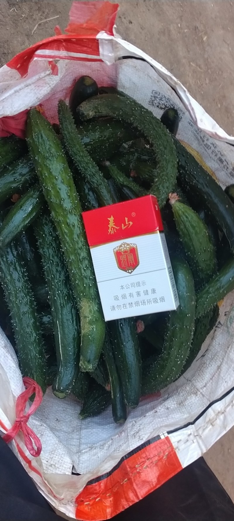 大量次品黄瓜黄瓜扭大量供应咸菜厂货源充足保
