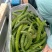 大量次品黄瓜黄瓜扭大量供应咸菜厂货源充足保