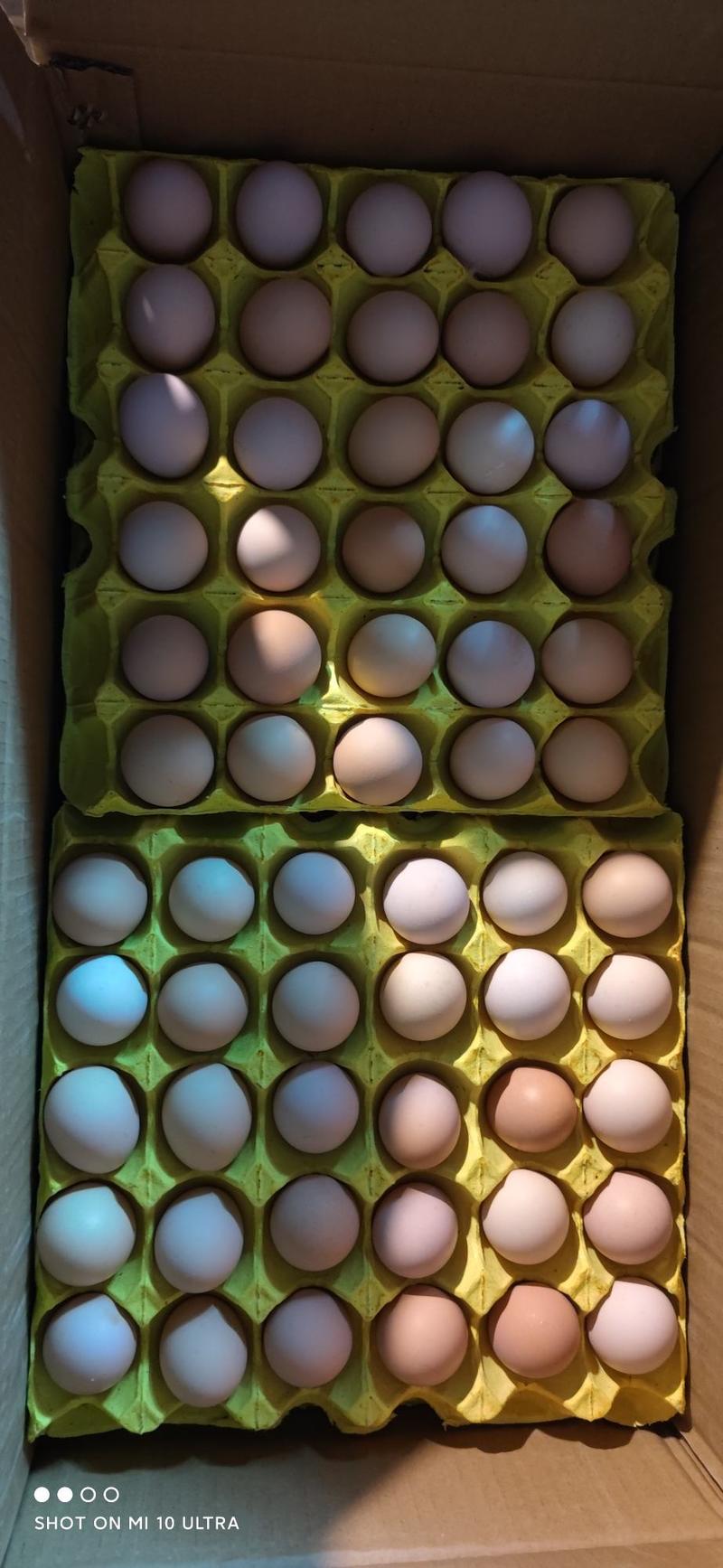 土鸡蛋30斤-35斤规格双色土鸡蛋草鸡蛋笨鸡蛋