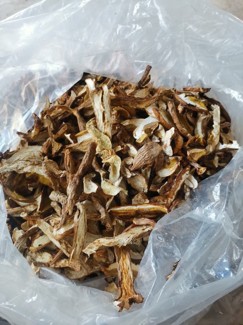 长白山区野生榛蘑，大腿蘑，趟子蘑柴火烘干，每斤38元起