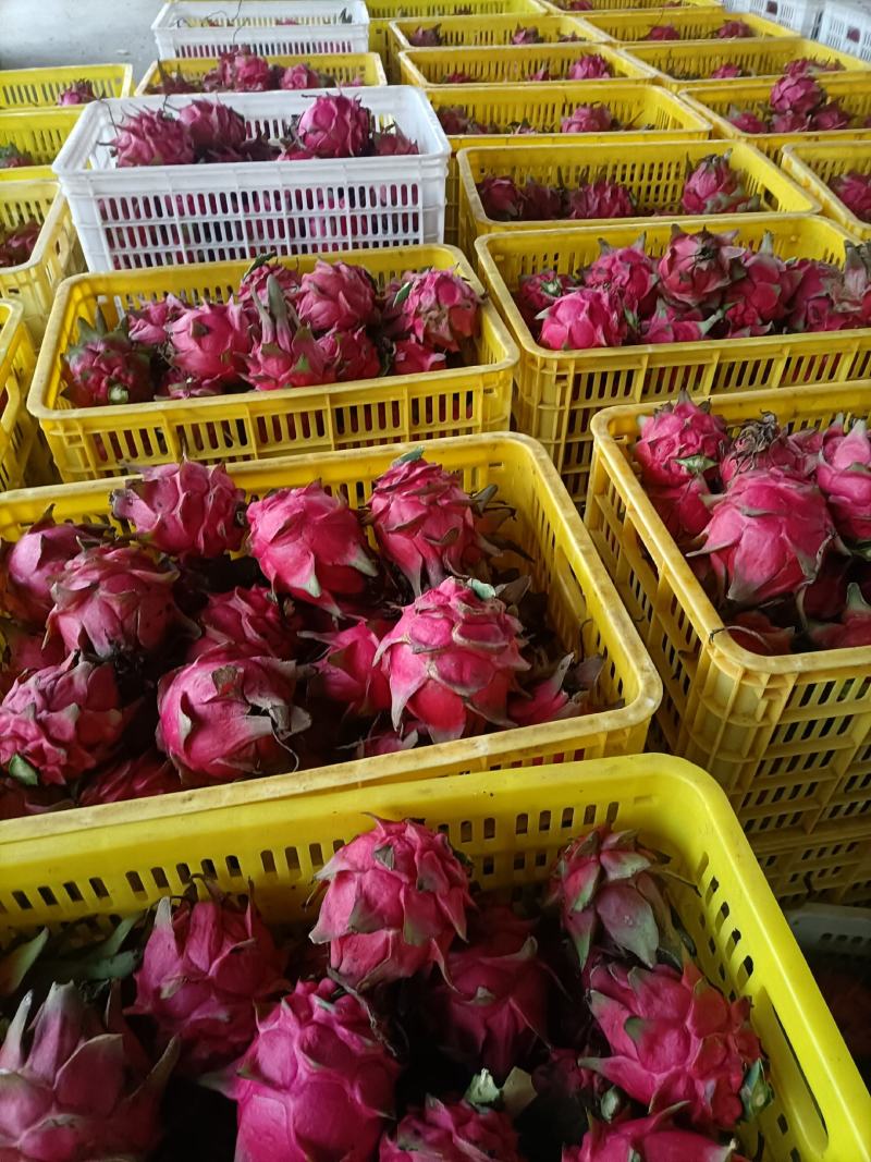 这是一种灵魂火龙果，口感好，清爽可口