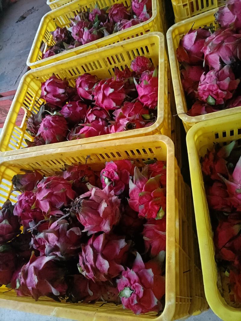 这是一种灵魂火龙果，口感好，清爽可口
