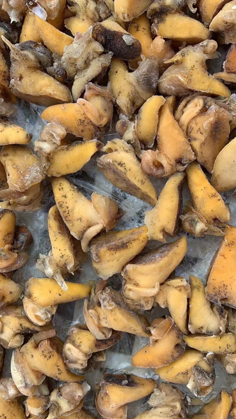 黄金鲍螺肉黄海珍珠鲍螺老婆脚肉假鲍鱼海鲜贝类水产批发