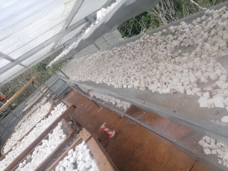 云南高山茯苓机选白茯苓机器切块块形3x3CM大颗散装袋装
