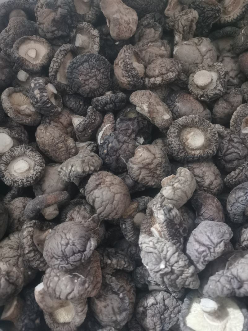 冬菇产地直销，质量保证货源充足，诚信合作欢迎采购