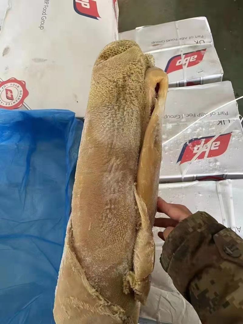 379金肚，价格优势，需要联系。长家直销一手货源。