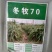 冬麦70黑麦草种子四季多年生高产型牧草喂猪牛羊鸡鸭鹅兔鱼