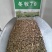 冬麦70黑麦草种子四季多年生高产型牧草喂猪牛羊鸡鸭鹅兔鱼