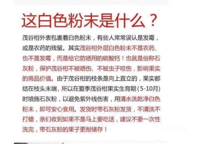 【包邮】一件代发，正宗广西武鸣茂谷柑产地直发，批发代办