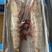 天然黑虎虾草虾斑节虾海洋大虾对虾海鲜水产虎斑虾基围虾礼盒