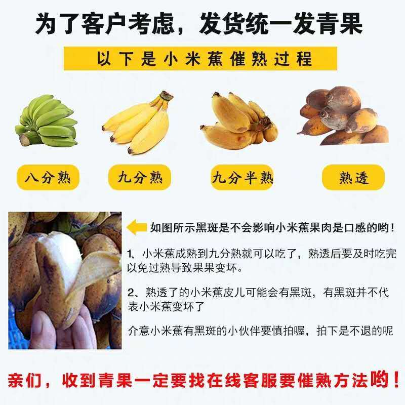 【包邮】一件代发正宗广西小米蕉香蕉西贡蕉皇帝蕉产地直发