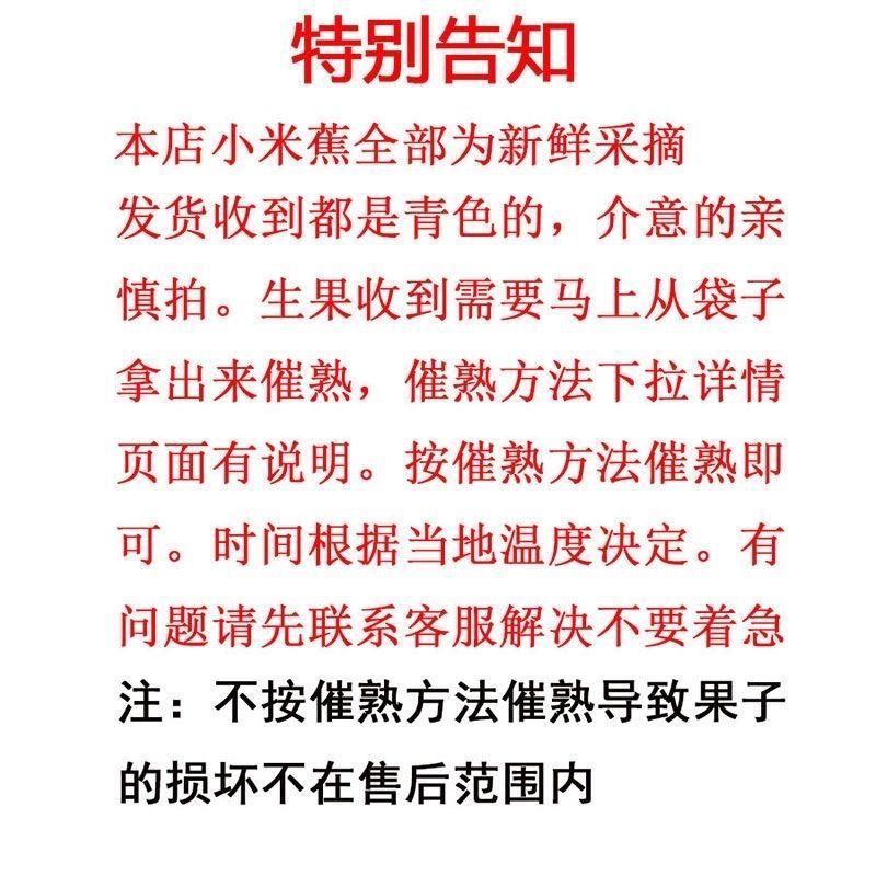 【包邮】一件代发正宗广西小米蕉香蕉西贡蕉皇帝蕉产地直发