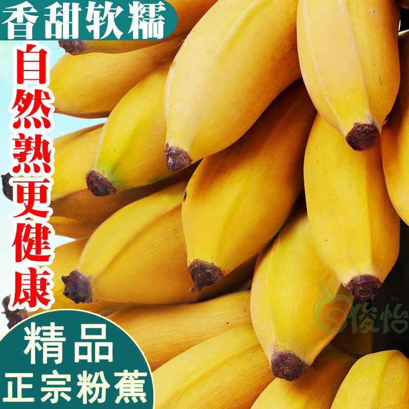 【包邮】一件代发正宗广西小米蕉香蕉西贡蕉皇帝蕉产地直发