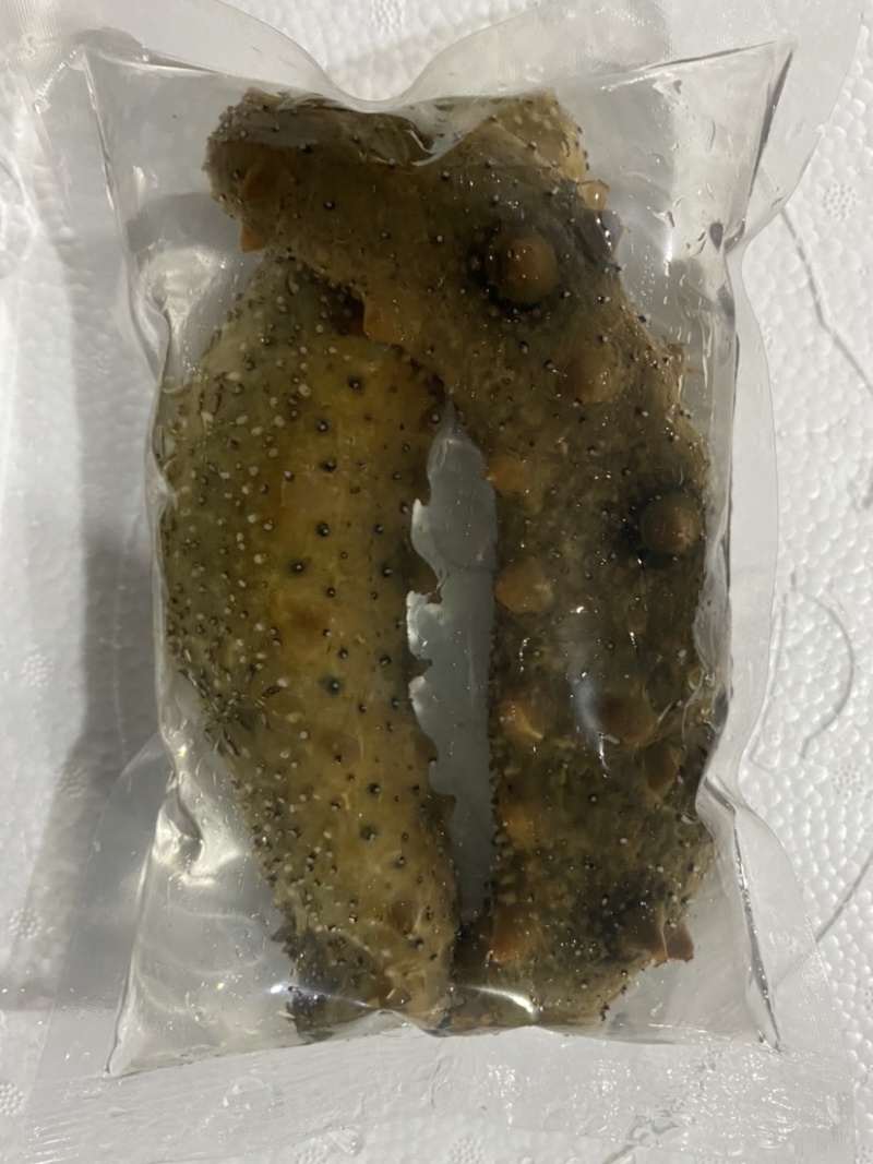 活体海参，全国发货，保货，一件代发，无沙，可以直食