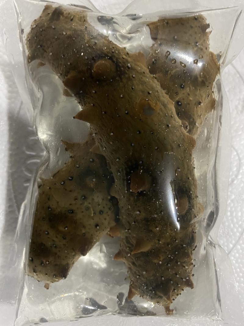 活体海参，全国发货，保货，一件代发，无沙，可以直食