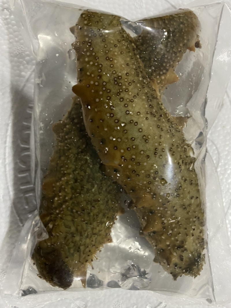 活体海参，全国发货，保货，一件代发，无沙，可以直食