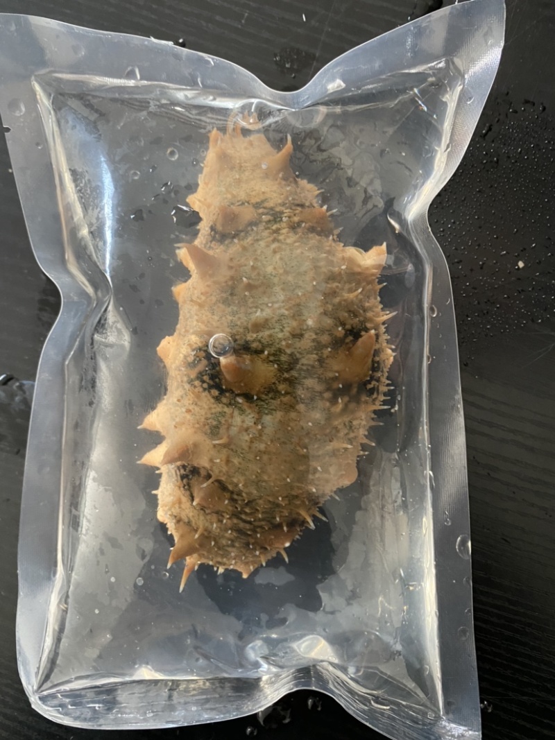 活体海参，全国发货，保货，一件代发，无沙，可以直食