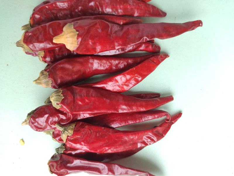 河南干辣椒，高辣精品中椒，产地直供，量大从优，全国包邮！
