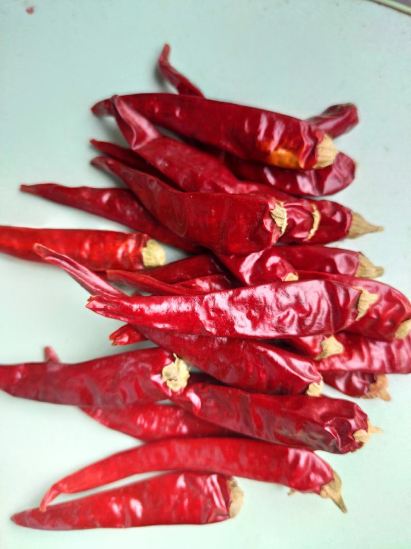 河南干辣椒，高辣精品中椒，产地直供，量大从优，全国包邮！