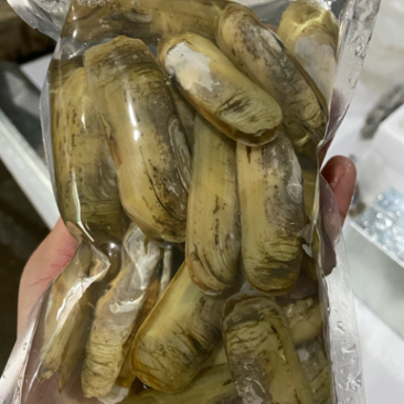 小人鲜活体精华全国发货小蛏子，全国保活发货。
