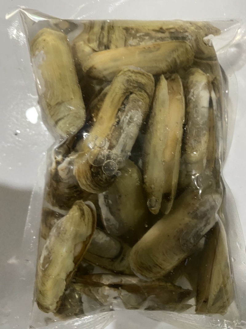 小人鲜活体精华全国发货小蛏子，全国保活发货。