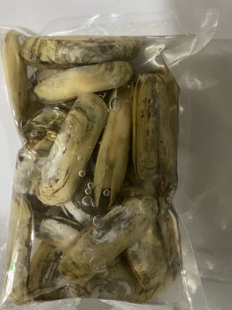 小人鲜活体精华全国发货小蛏子，全国保活发货。