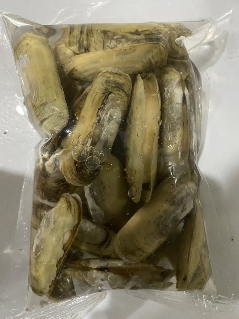 小人鲜活体精华全国发货小蛏子，全国保活发货。