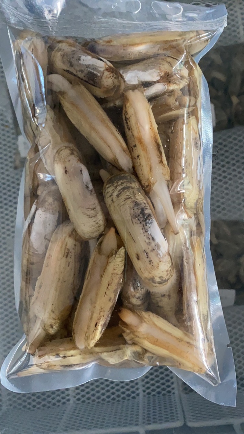 小人鲜活体精华全国发货小蛏子，全国保活发货。