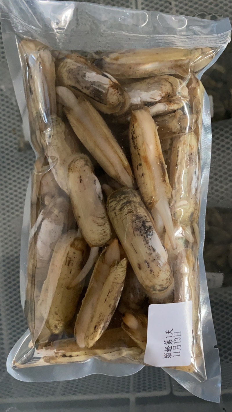 小人鲜活体精华全国发货小蛏子，全国保活发货。