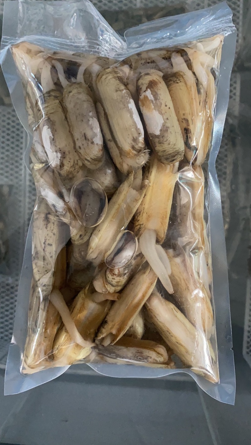 小人鲜活体精华全国发货小蛏子，全国保活发货。