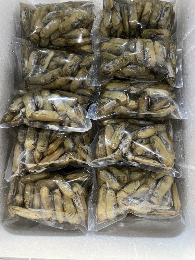 小人鲜活体精华全国发货小蛏子，全国保活发货。