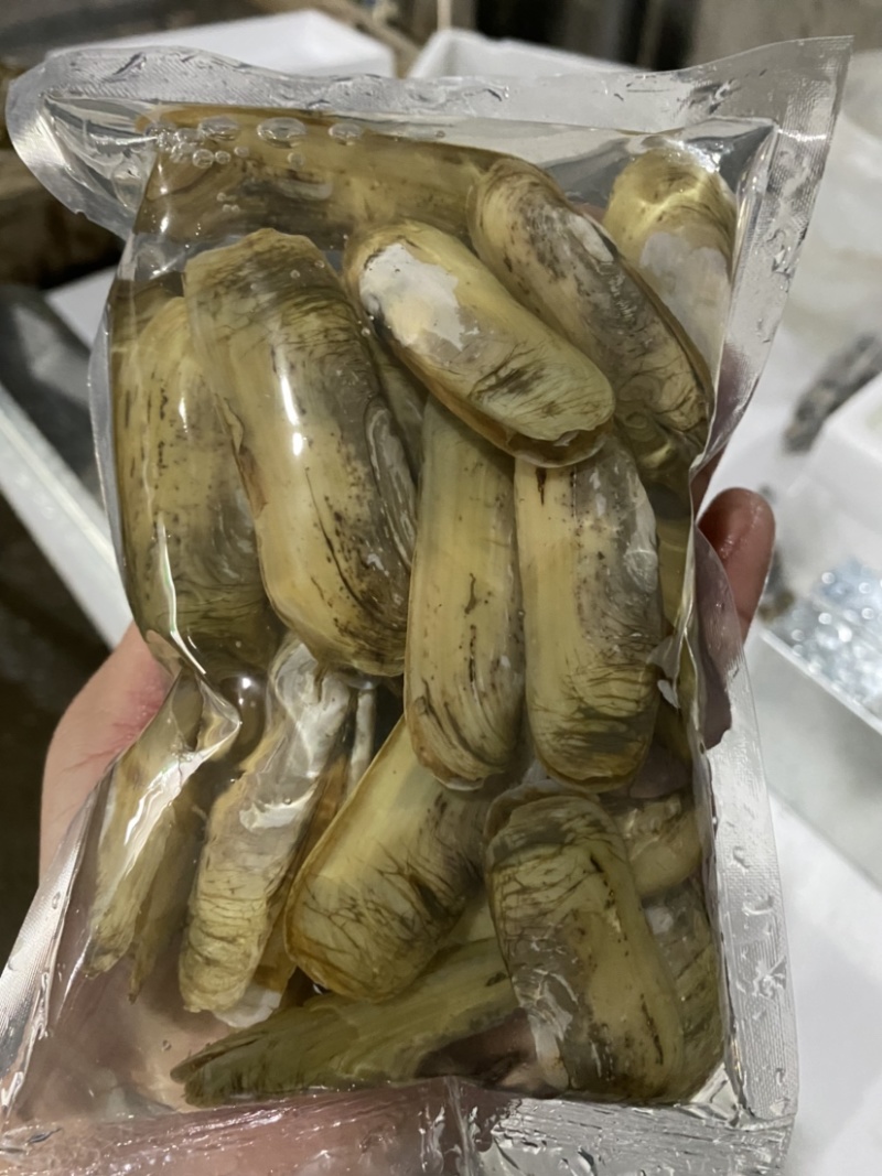 小人鲜活体精华全国发货小蛏子，全国保活发货。