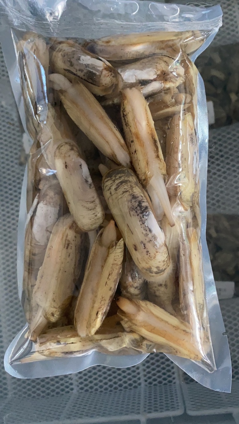 小人鲜活体精华全国发货小蛏子，全国保活发货。