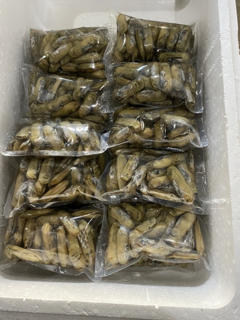 小人鲜活体精华全国发货小蛏子，全国保活发货。