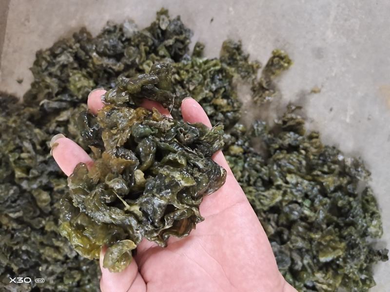 地皮菜，第衣，来自大自然的馈赠，舌尖上的美食！