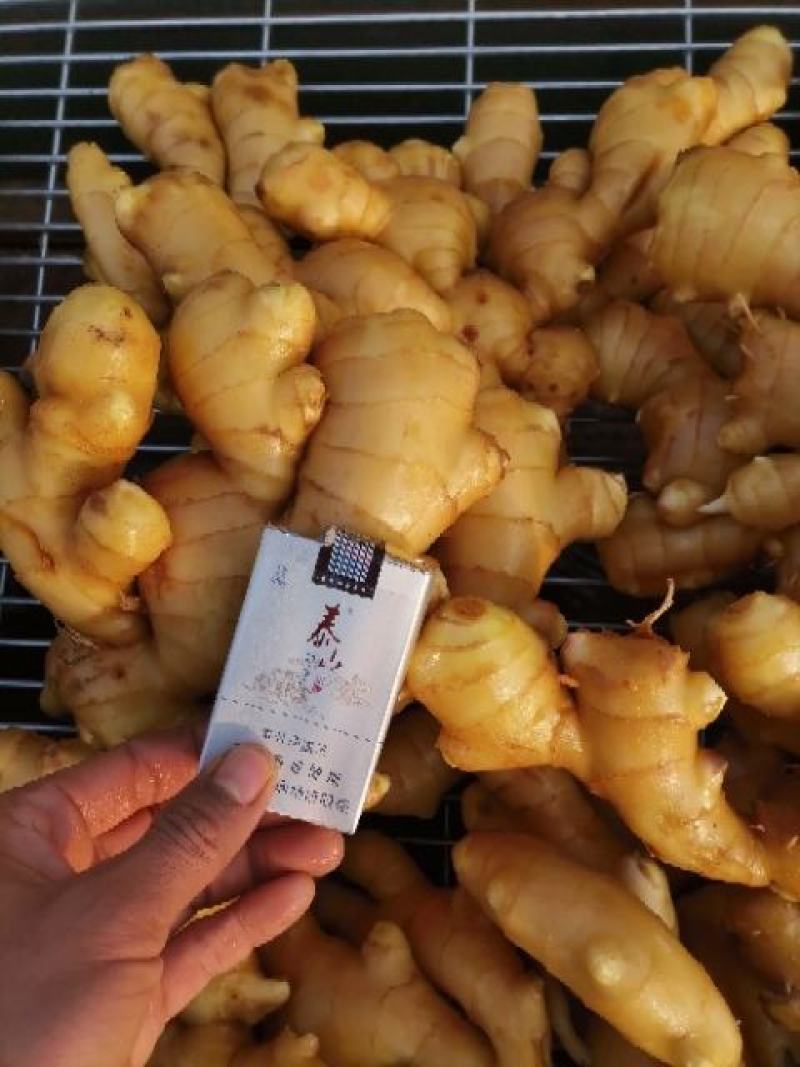 昌邑大姜，水洗产地直供一手货源诚信经营保证质量，全国供应