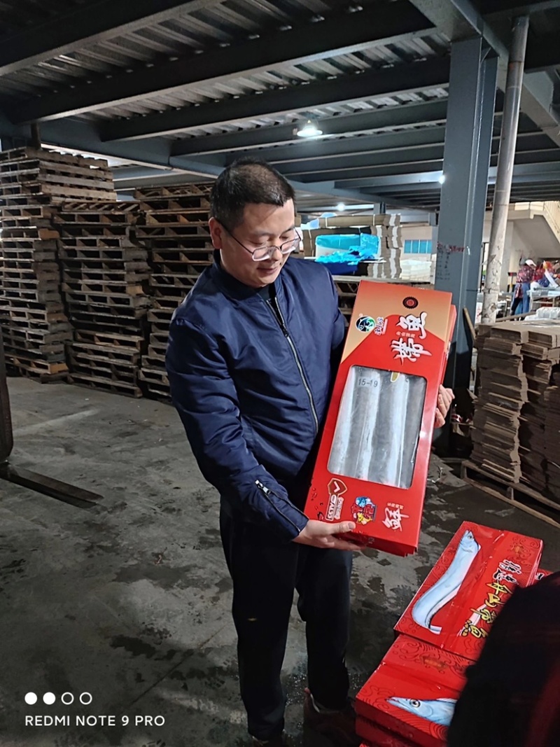东海带鱼，5斤每盒